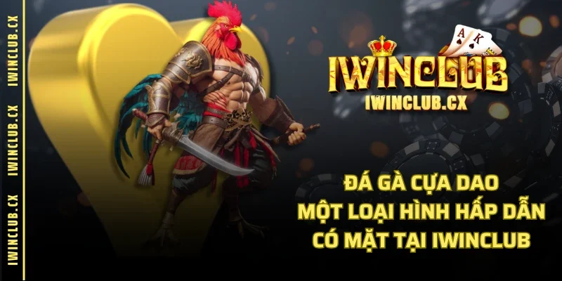 Đá Gà Cựa Dao - Một Loại Hình Hấp Dẫn Có Mặt Tại IWINCLUB