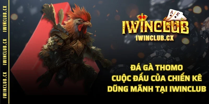 Đá Gà Thomo - Cuộc Đấu Của Chiến Kê Dũng Mãnh Tại IWINCLUB